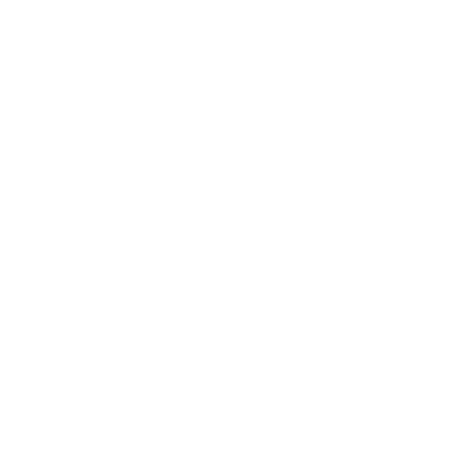 Light Logo